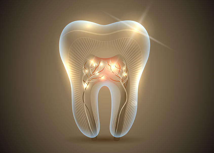 Root Canal Therapy | Mirage Dental | General and Family Dentist | SE Calgary